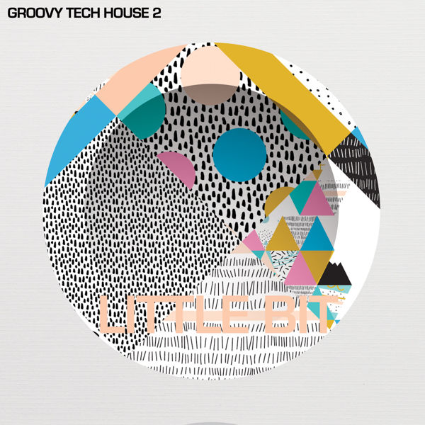 Picture of Groovy Tech House 2