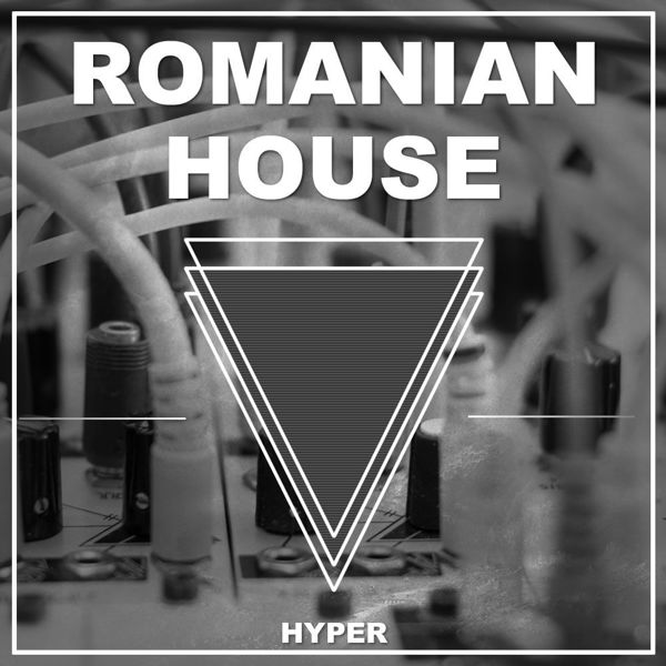 Picture of Romanian House