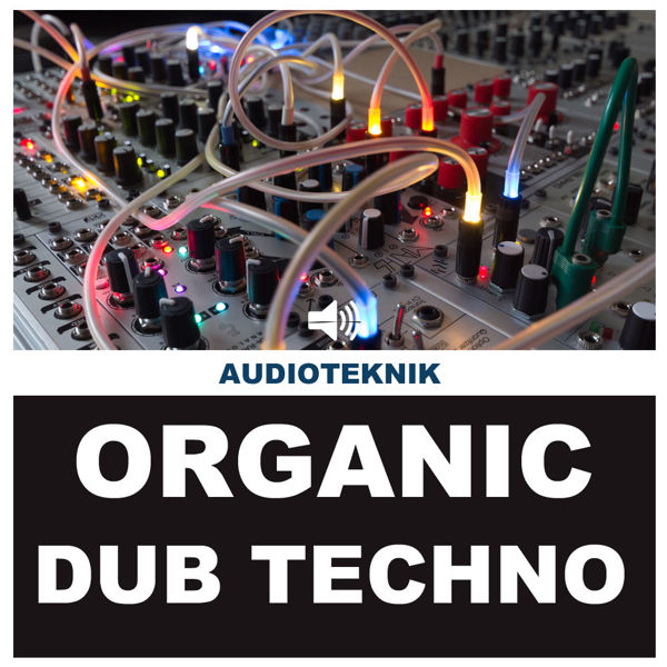 Picture of Organic Dub Techno