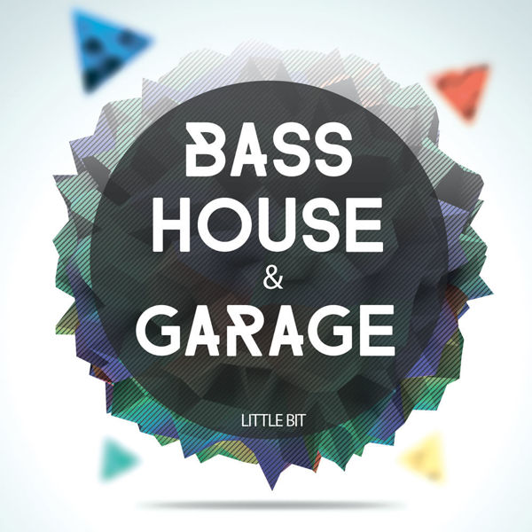 Picture of Bass House & Garage