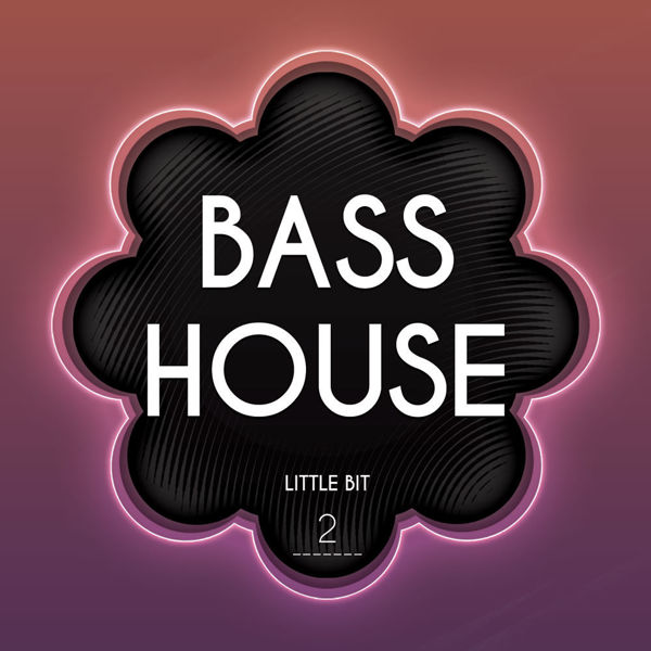 Picture of Bass House 2