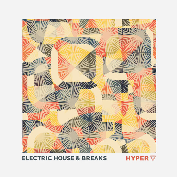 Picture of Electric House & Breaks