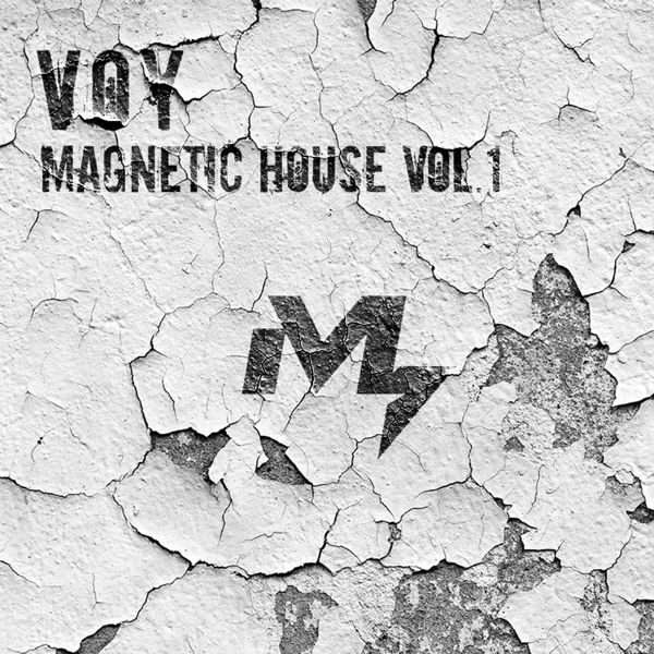 Picture of VOY - Magnetic House Vol.1