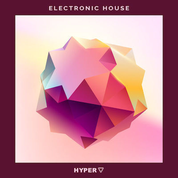 Picture of Electronic House