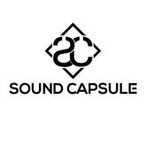 Picture for category Sound Capsule Picture for category Sound Capsule