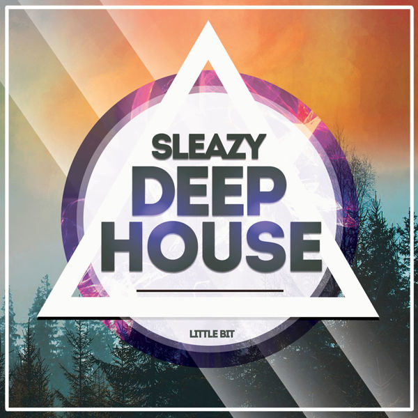 Picture of Sleazy Deep House