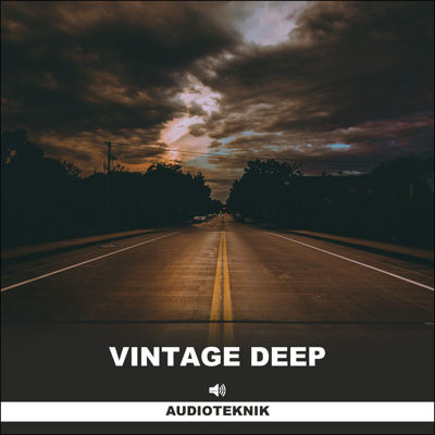 Picture of Vintage Deep - Sampler