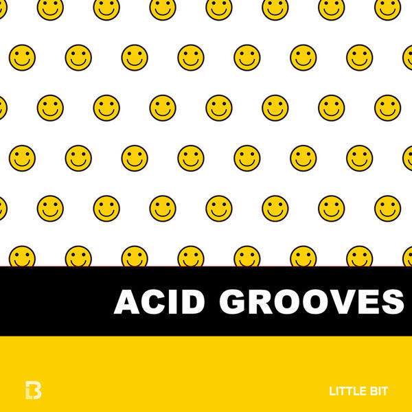 Image de Acid Grooves