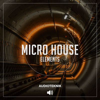 Picture of Micro House Elements
