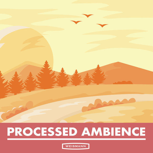 Immagine di Processed Ambience