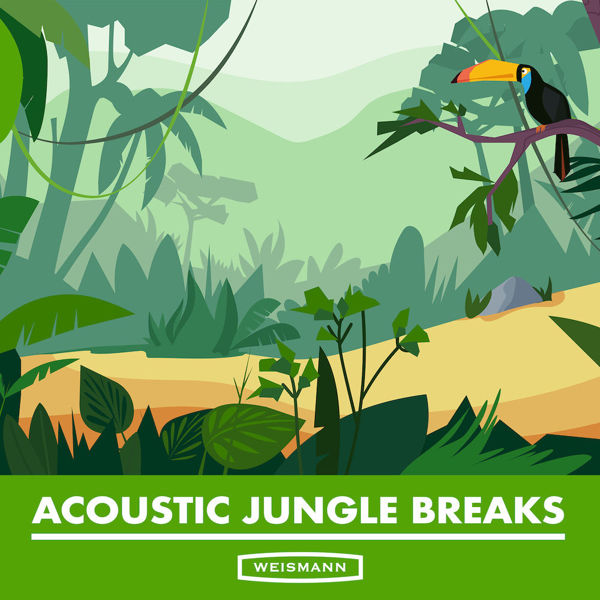 Picture of Acoustic Jungle Breaks