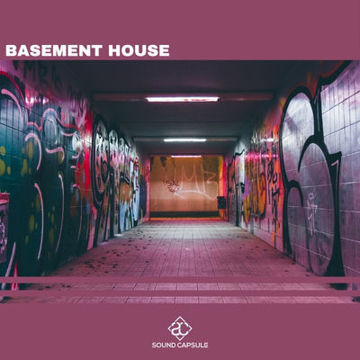 Picture of Basement House
